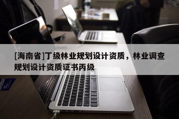 [海南省]丁级林业规划设计资质，林业调查规划设计资质证书丙级