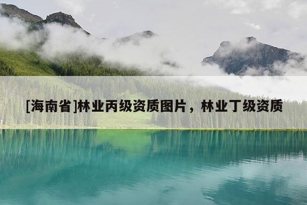 [海南省]林业丙级资质图片，林业丁级资质