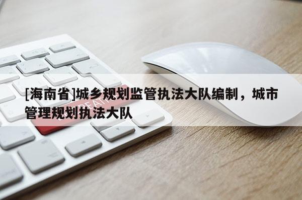 [海南省]城乡规划监管执法大队编制，城市管理规划执法大队