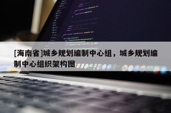 [海南省]城乡规划编制中心组，城乡规划编制中心组织架构图