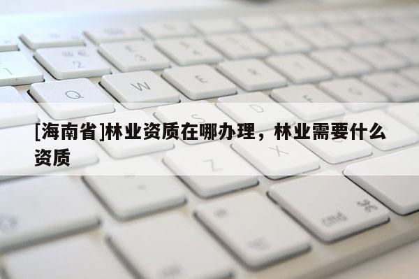 [海南省]林业资质在哪办理，林业需要什么资质