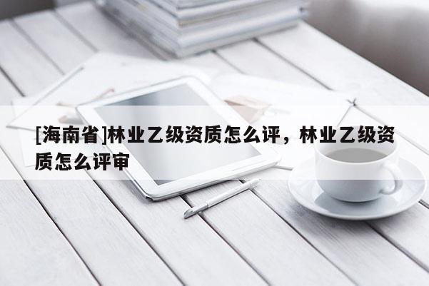 [海南省]林业乙级资质怎么评，林业乙级资质怎么评审