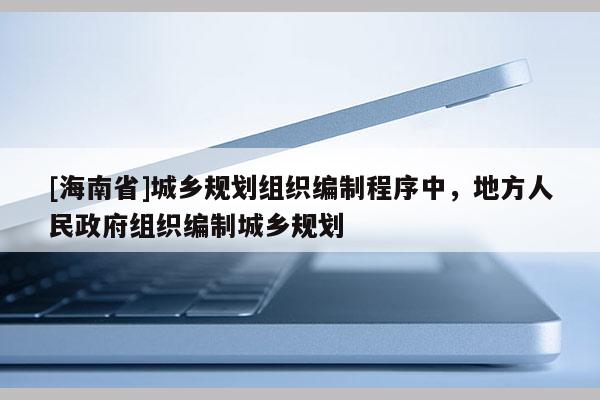 [海南省]城乡规划组织编制程序中，地方人民政府组织编制城乡规划