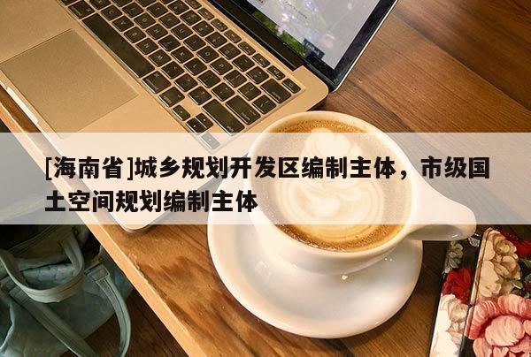 [海南省]城乡规划开发区编制主体，市级国土空间规划编制主体