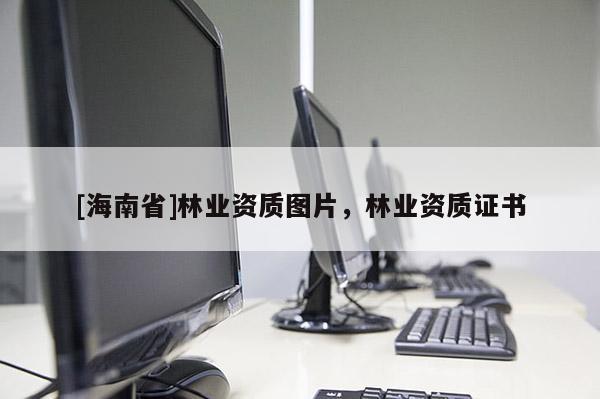 [海南省]林业资质图片，林业资质证书