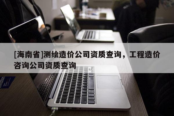 [海南省]测绘造价公司资质查询，工程造价咨询公司资质查询
