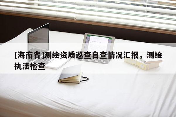 [海南省]测绘资质巡查自查情况汇报，测绘执法检查