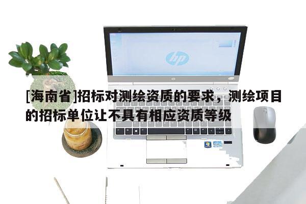 [海南省]招标对测绘资质的要求，测绘项目的招标单位让不具有相应资质等级