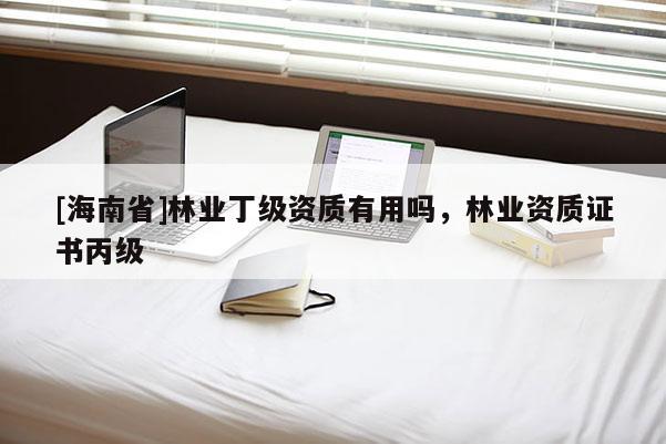 [海南省]林业丁级资质有用吗，林业资质证书丙级