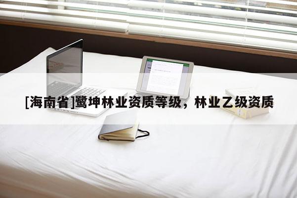 [海南省]鹭坤林业资质等级，林业乙级资质