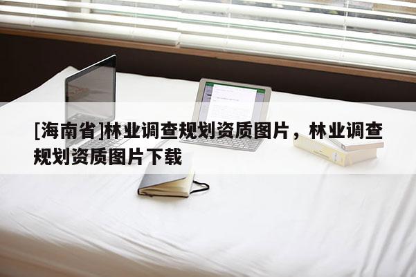 [海南省]林业调查规划资质图片，林业调查规划资质图片下载