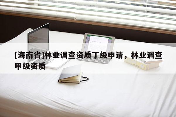 [海南省]林业调查资质丁级申请，林业调查甲级资质