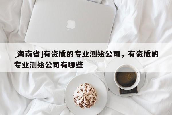 [海南省]有资质的专业测绘公司，有资质的专业测绘公司有哪些