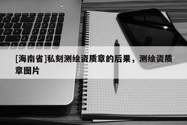 [海南省]私刻测绘资质章的后果，测绘资质章图片
