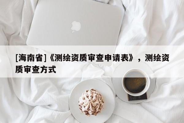 [海南省]《测绘资质审查申请表》，测绘资质审查方式