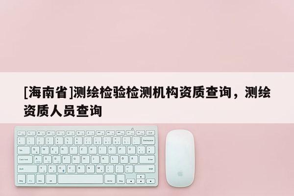 [海南省]测绘检验检测机构资质查询，测绘资质人员查询