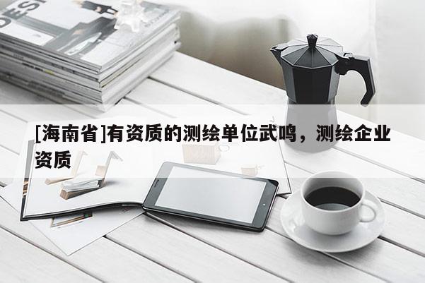 [海南省]有资质的测绘单位武鸣，测绘企业资质