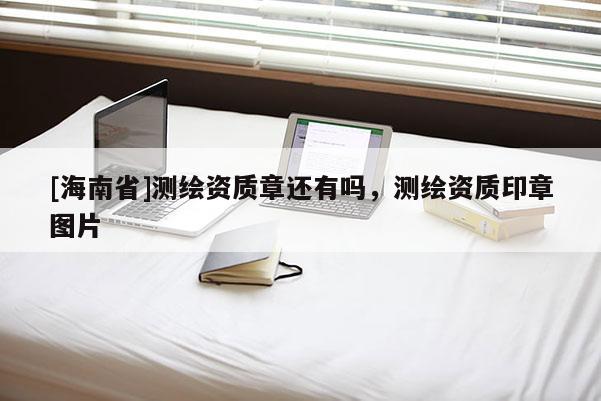 [海南省]测绘资质章还有吗，测绘资质印章图片