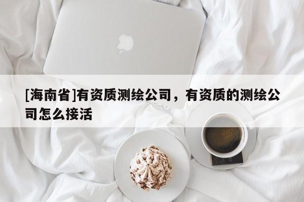 [海南省]有资质测绘公司，有资质的测绘公司怎么接活