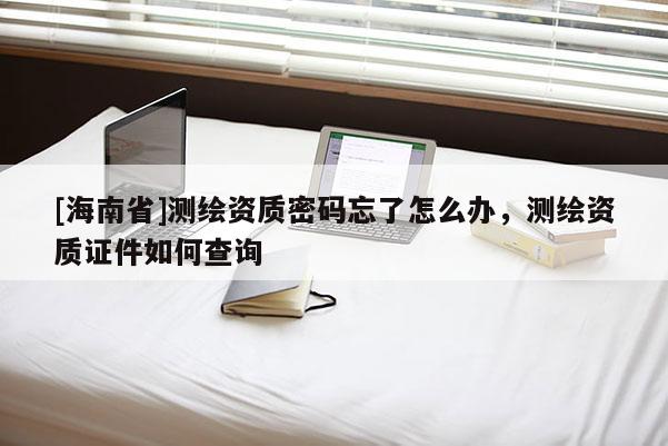 [海南省]测绘资质密码忘了怎么办，测绘资质证件如何查询