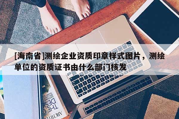 [海南省]测绘企业资质印章样式图片，测绘单位的资质证书由什么部门核发
