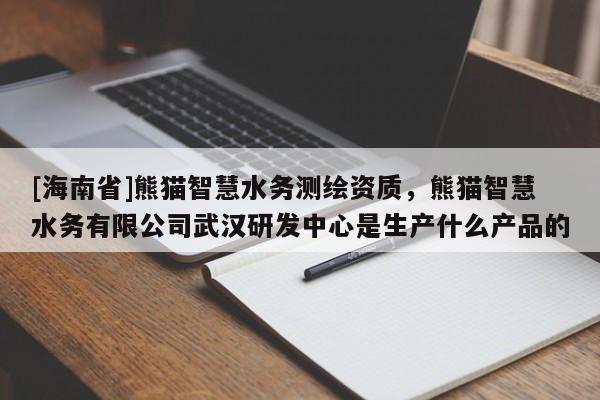 [海南省]熊猫智慧水务测绘资质，熊猫智慧水务有限公司武汉研发中心是生产什么产品的