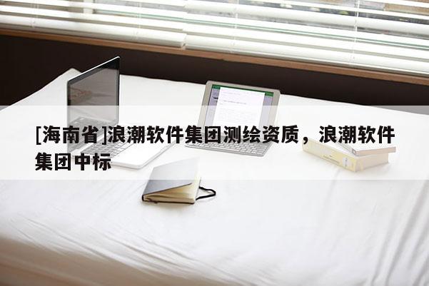 [海南省]浪潮软件集团测绘资质，浪潮软件集团中标