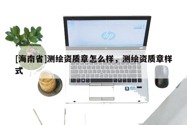 [海南省]测绘资质章怎么样，测绘资质章样式