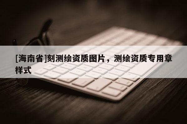 [海南省]刻测绘资质图片，测绘资质专用章样式
