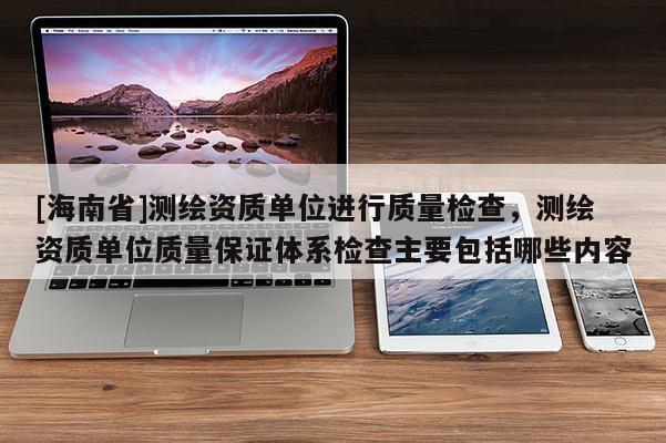 [海南省]测绘资质单位进行质量检查，测绘资质单位质量保证体系检查主要包括哪些内容