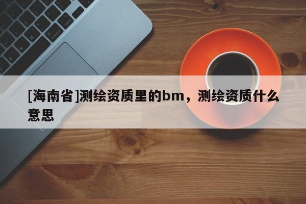[海南省]测绘资质里的bm，测绘资质什么意思