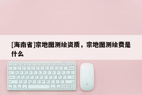 [海南省]宗地图测绘资质，宗地图测绘费是什么