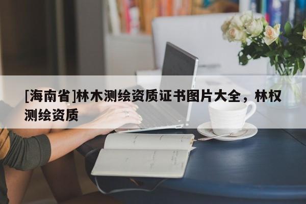 [海南省]林木测绘资质证书图片大全，林权测绘资质