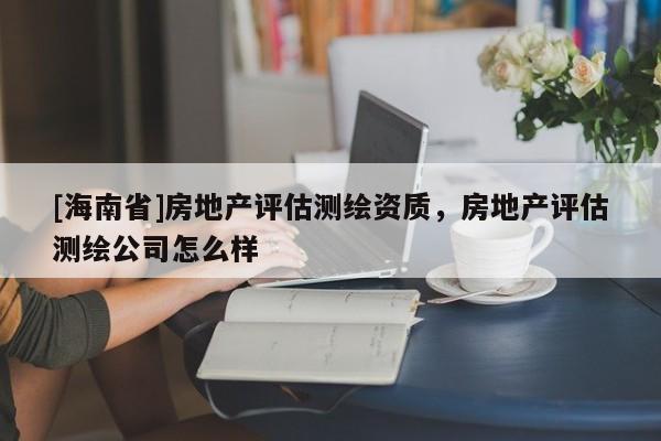 [海南省]房地产评估测绘资质，房地产评估测绘公司怎么样